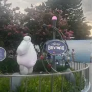 たけの画像