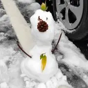 もろこしの画像