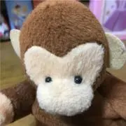 みすけの画像