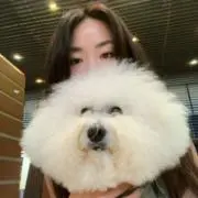 ハヤシの画像