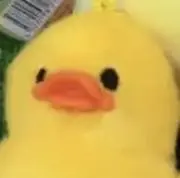 やまだの画像