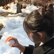 nの画像