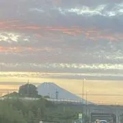 杏【お値下げ中⚽️】の画像