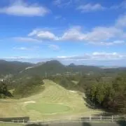 ノアの画像