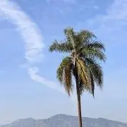 yan【プロフ必読】の画像
