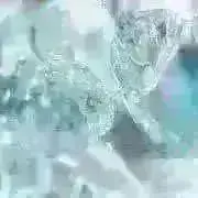 ちゃんもの画像