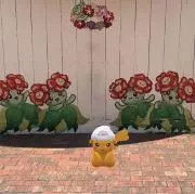 NOAの画像