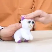 neonの画像