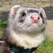 まーくんの画像