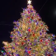 Sn⭐︎【即購入OK】の画像