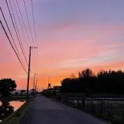 とむの画像