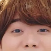 ぷりんちゃんの画像