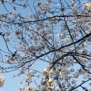 ちぃ