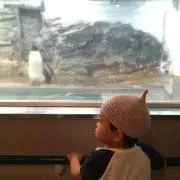 ちびこ