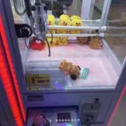 akashimadaiの画像