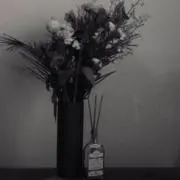 ちょこびの画像