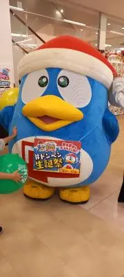 どんちゃんの画像