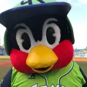 メルの画像