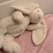 ゆちゃ 即購入可！の画像