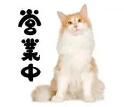 むーちょの画像