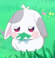 mochiの画像