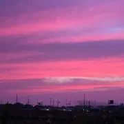 紫雲