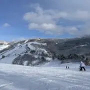 やしやまの画像