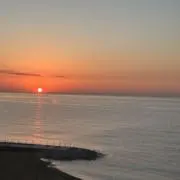 ぶたまんの画像