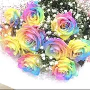 断捨離中Ruu♡mamaの画像