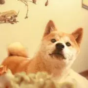 ゆずぴ⋆⸜♡⸝‍⋆