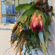 sa_yu_aussie_plantsの画像