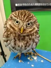 ★ちぃ★　プロフ必読の画像