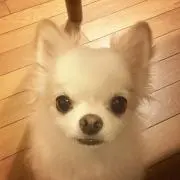 ロバタde八戸の画像