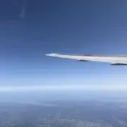 チョコパンの画像