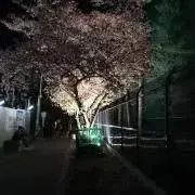 ひろきちの画像