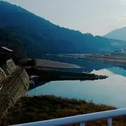みーの画像