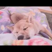 なっちの画像