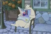 ꕤ︎︎catmtꕤ︎︎の画像