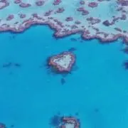 発送遅れる場合があります　a8a8の画像