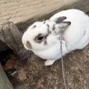 mama^_^の画像