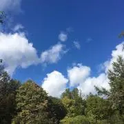 akkieの画像