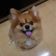 jimin.nana