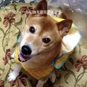 愛しのロミオ
