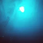 Tisnmatの画像