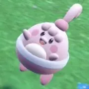 どんちっちの画像