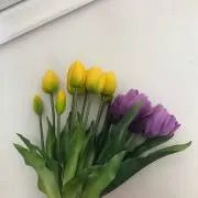 아키라の画像