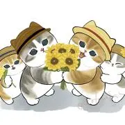 몽코の画像