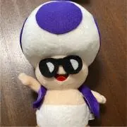 とめこの画像
