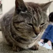 t.t.hime.koの画像