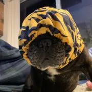 みぃ